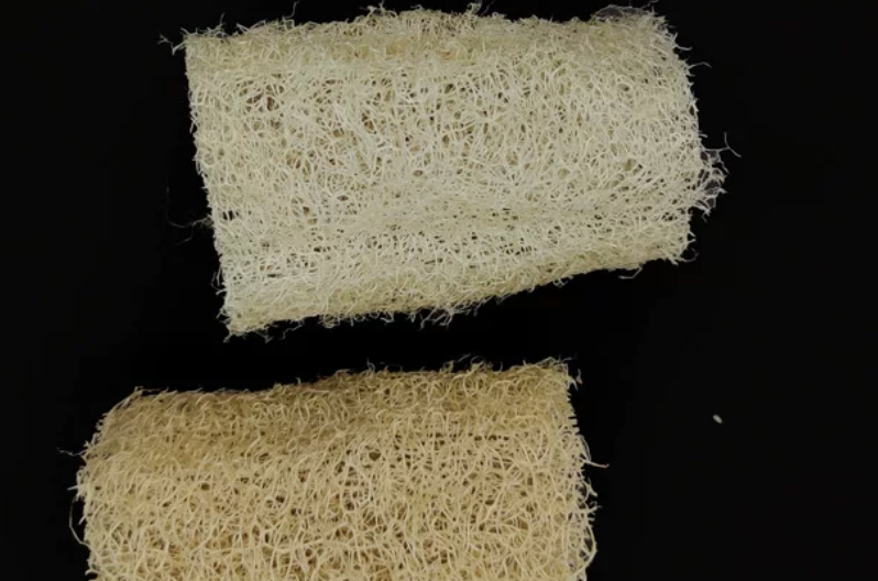 Natural Loofah Sponge for Urushi Lacquer Art — Traditional Textured Tool for Xi-pi (Pineapple) Lacquer, Base Coating, and Marbling Effects