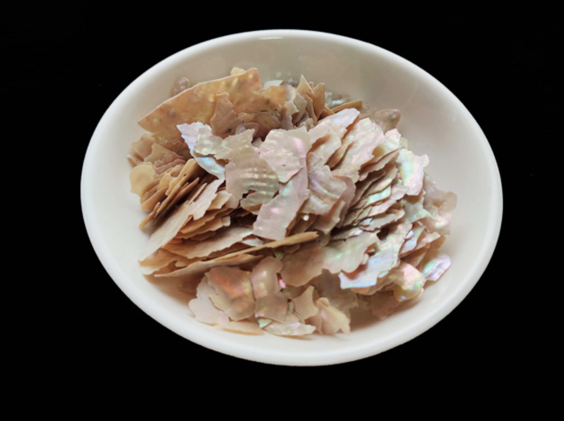 Mother of pearl shell slice(10g)