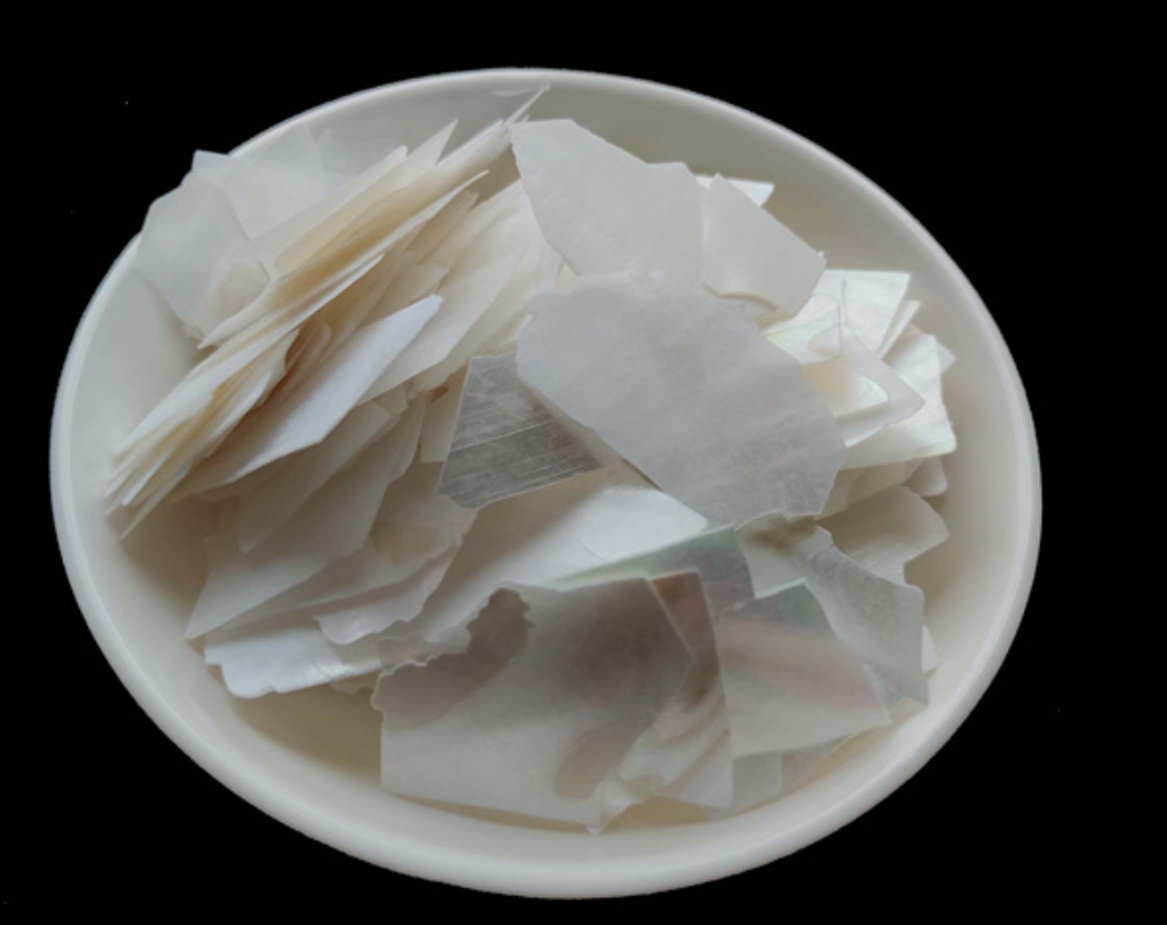 Mother of pearl shell slice(10g)