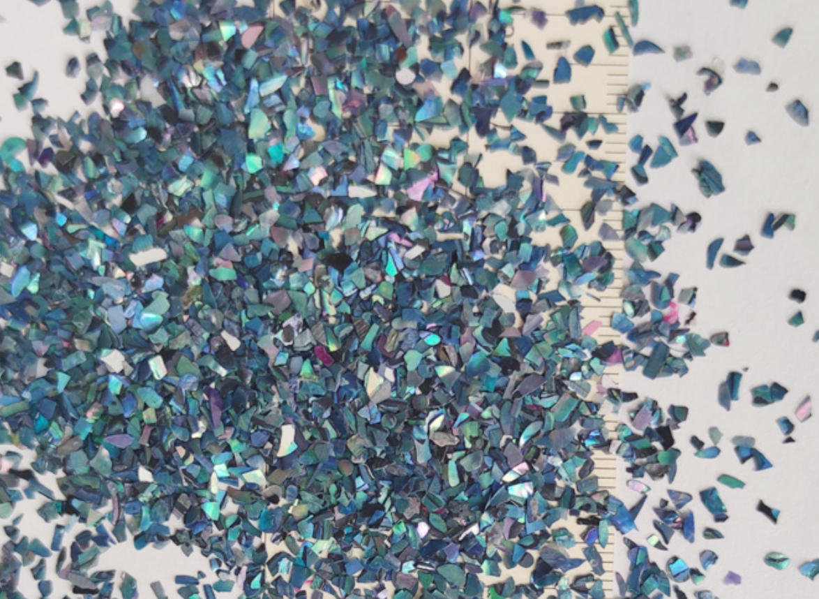 Mother of pearl shell powder(10g)