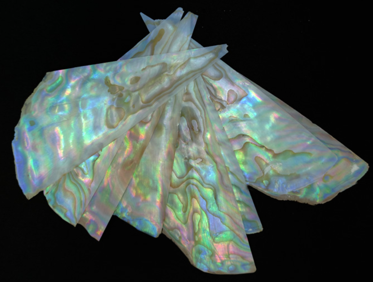Triangle mother of pearl(3 pieces)