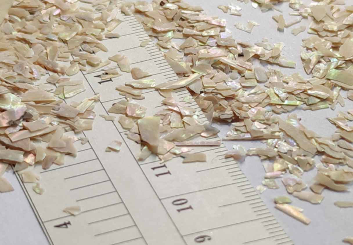 Mother of pearl shell powder(10g)