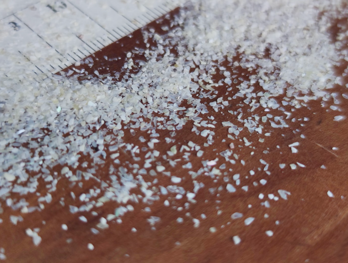 Mother of pearl shell powder(10g)
