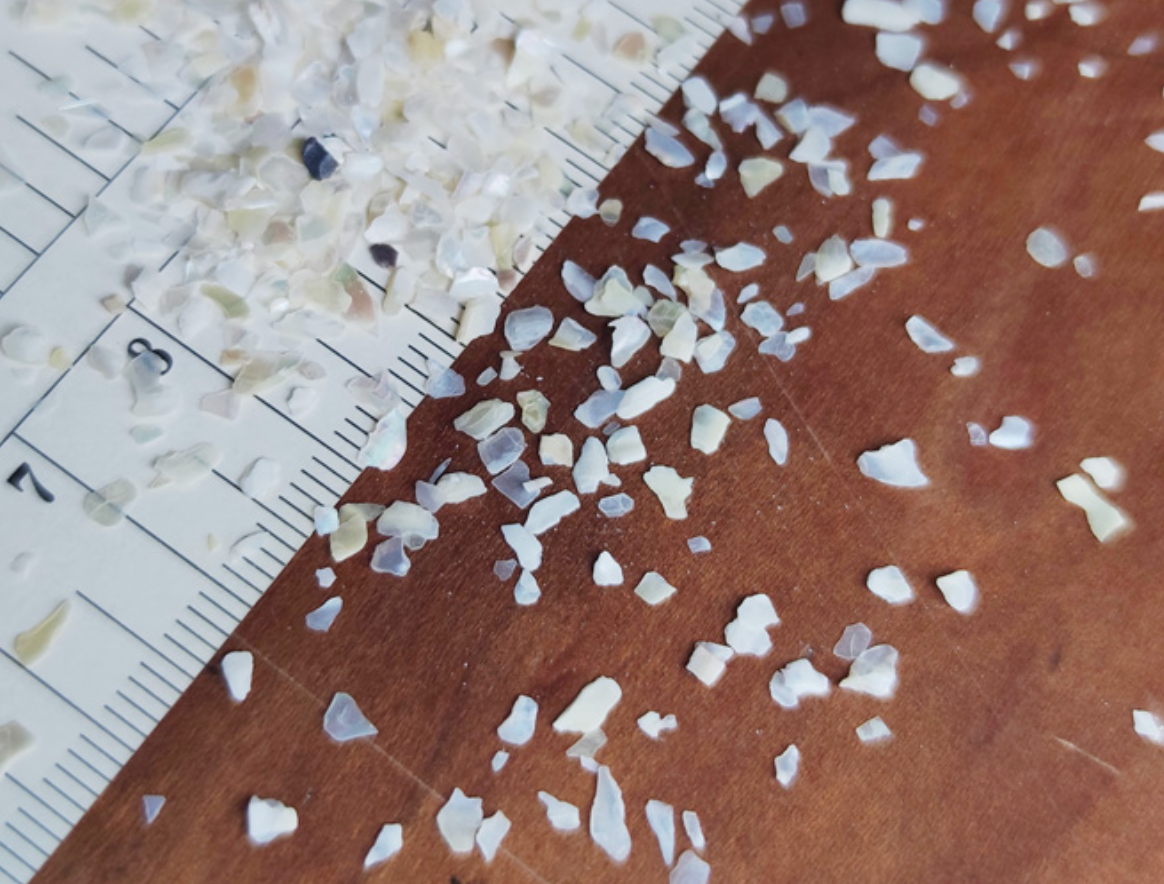 Mother of pearl shell powder(10g)