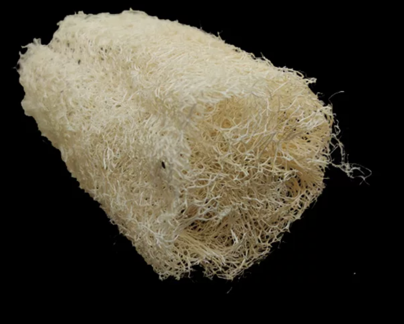 Natural Loofah Sponge for Urushi Lacquer Art — Traditional Textured Tool for Xi-pi (Pineapple) Lacquer, Base Coating, and Marbling Effects