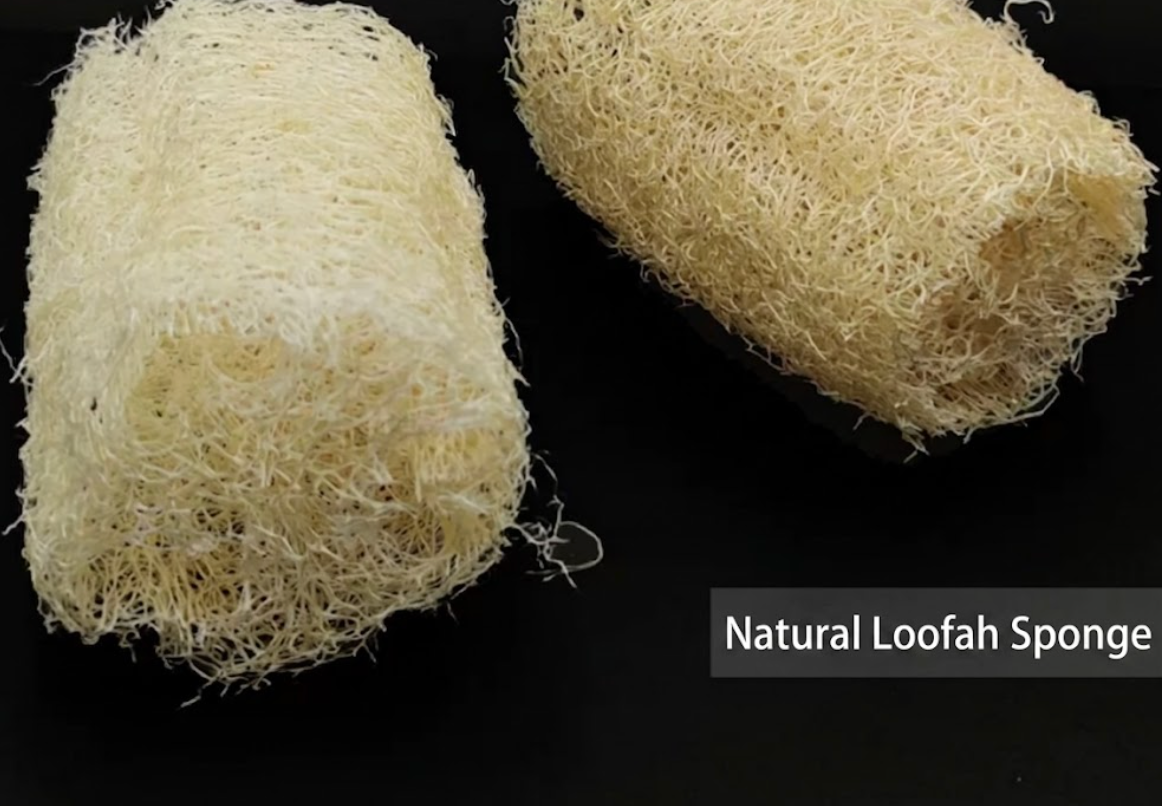 Natural Loofah Sponge for Urushi Lacquer Art — Traditional Textured Tool for Xi-pi (Pineapple) Lacquer, Base Coating, and Marbling Effects