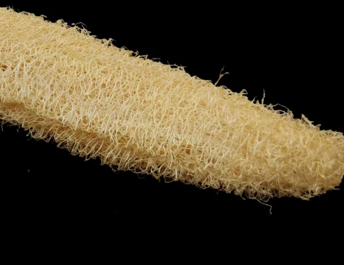 Natural Loofah Sponge for Urushi Lacquer Art — Traditional Textured Tool for Xi-pi (Pineapple) Lacquer, Base Coating, and Marbling Effects
