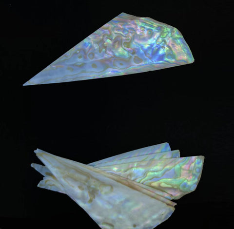 Triangle mother of pearl（3 pieces）