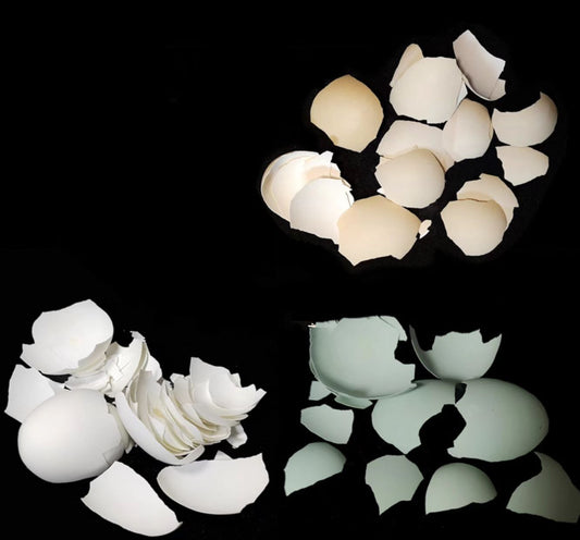 Big eggshell(50g)